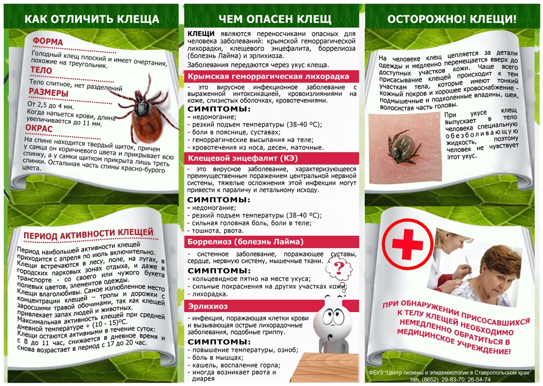 Клещи 1